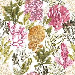 ILUNTCE 125-2 50X50