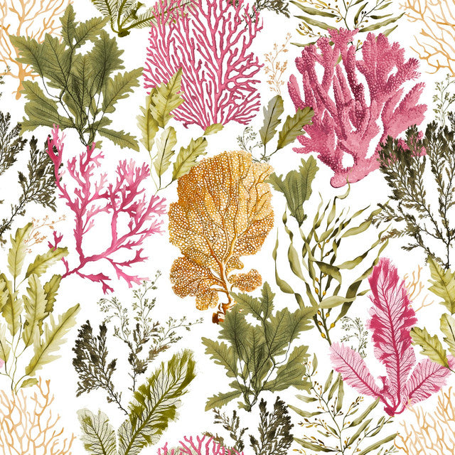 ILUNTCE 125-2 50X50