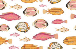 ILUNTCE 125-6 30X19