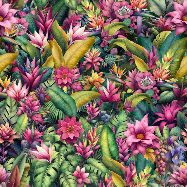 IMARA 125-1 54X54