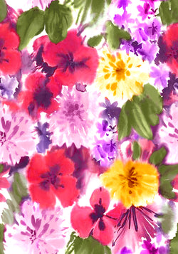 IRAIDE 1 30X43