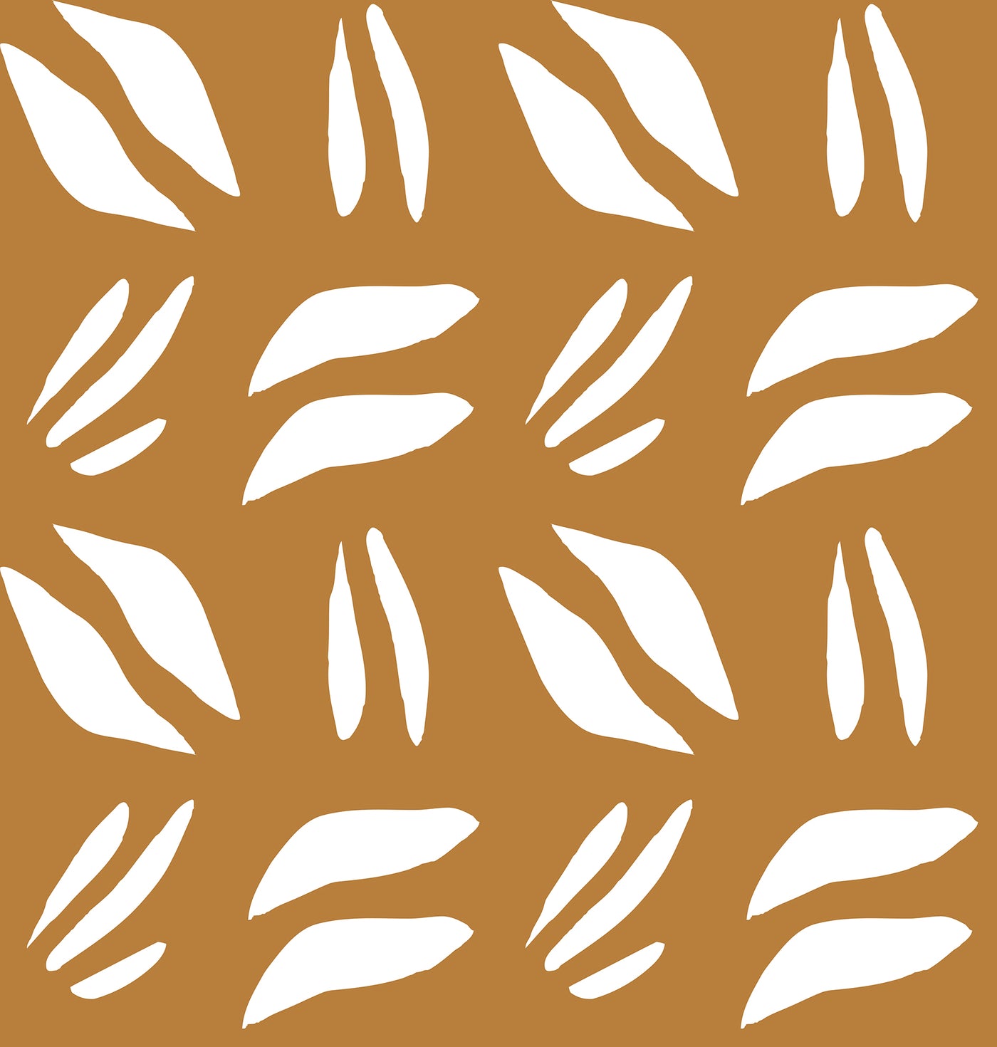 JOLI 2 50X52