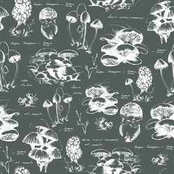 LALIA DARK 3 45X45