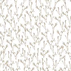 LALIA 6 50X50