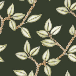 LEONI GREEN 3 30X30