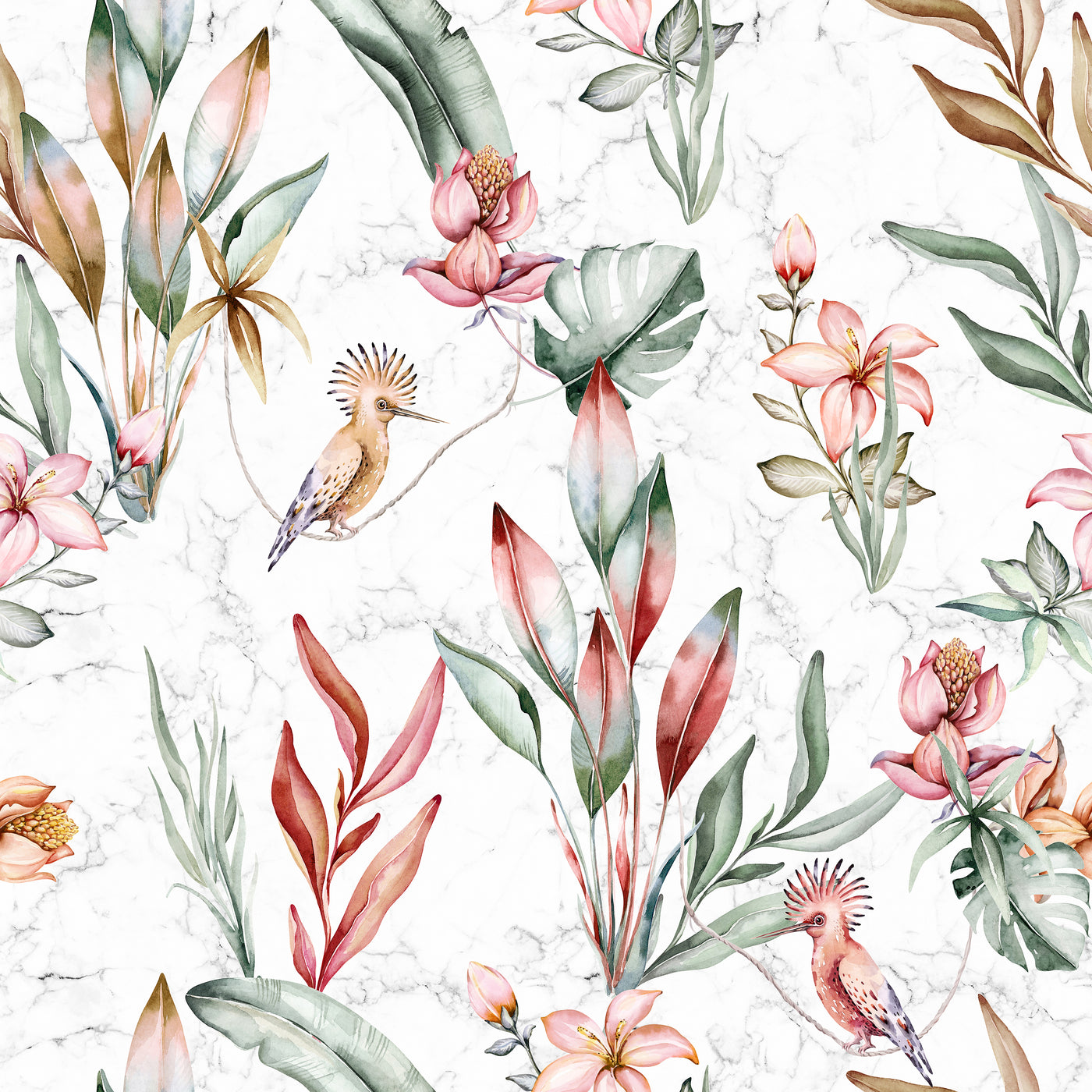 LIONELLA ROSE 1 120X120