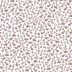 PINK MOON 3 50x50
