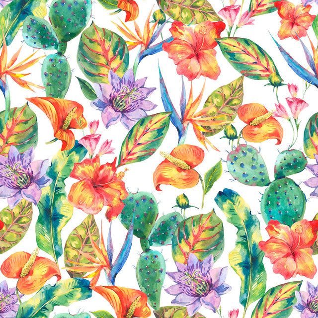 MAMEY 22 50x50