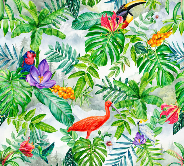 MAMEY 23 50x45
