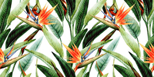 MAMEY 10 80X40