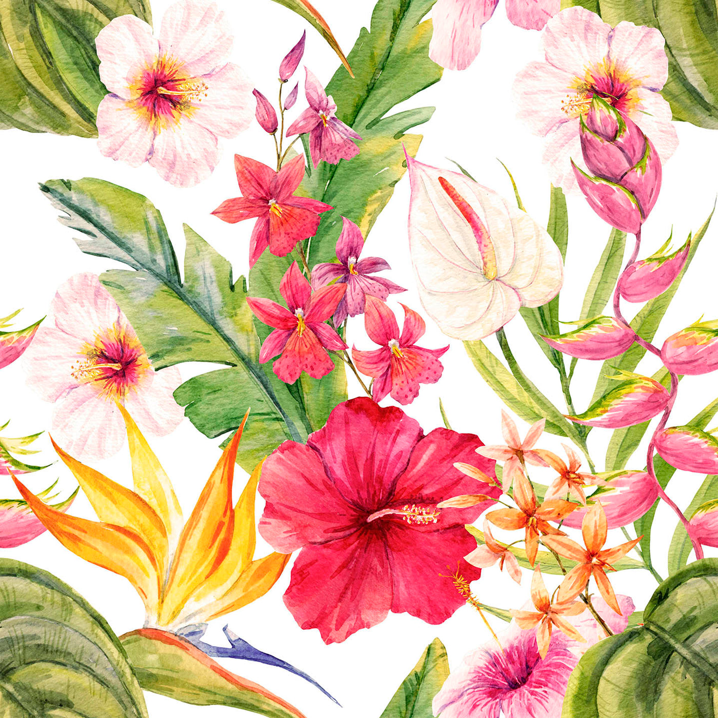 MAMEY 14 38X38