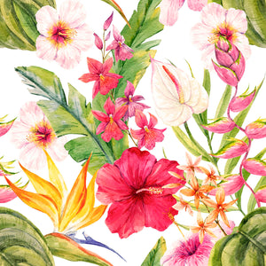 MAMEY 14 38X38
