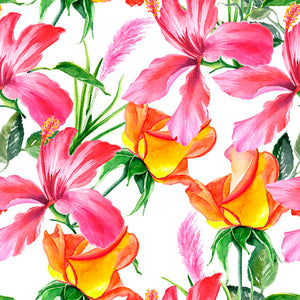 MAMEY 16 25X25