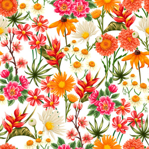 MAMEY 18 50X50