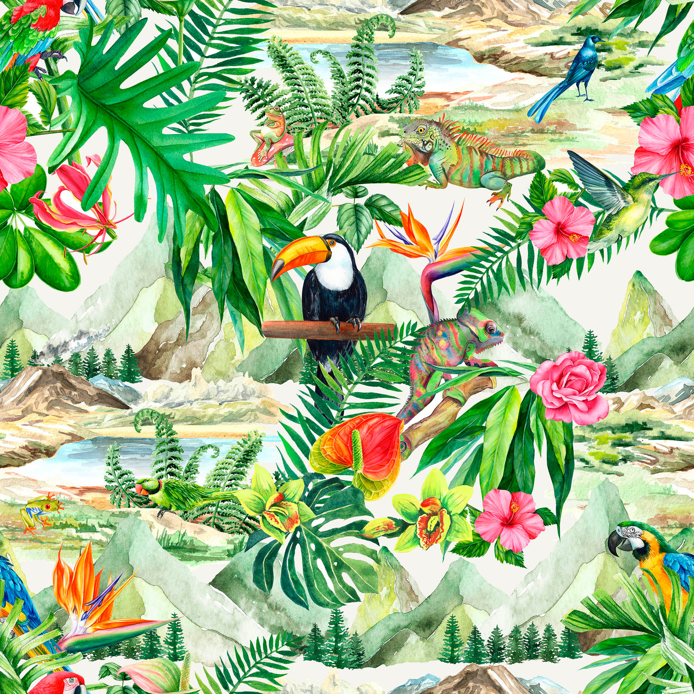 MAMEY 1 55X55