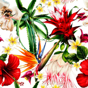 MAMEY 20 28X28