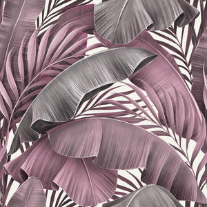 MAMEY 31 42X42