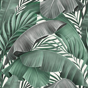 MAMEY 35 42X42