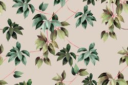 NAHIA BEIGE 924 3 HIGH 50X34