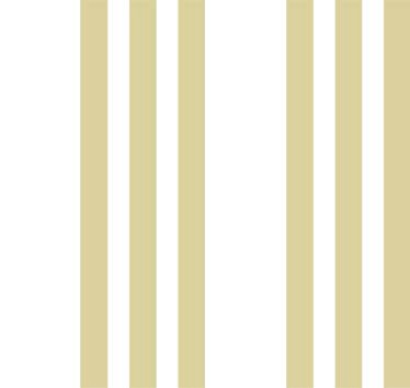 NATURA 155 RAYAS XS 3x3cm