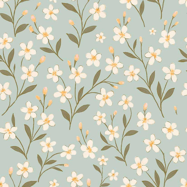 NATURA 196 MARGARITAS XS 7x7cm