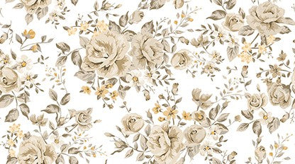 NOUR BEIGE 924 2  11X6