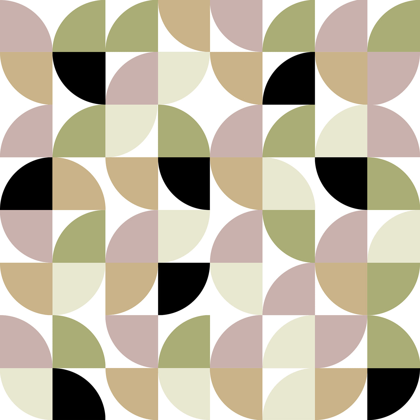 OBA2 50X50