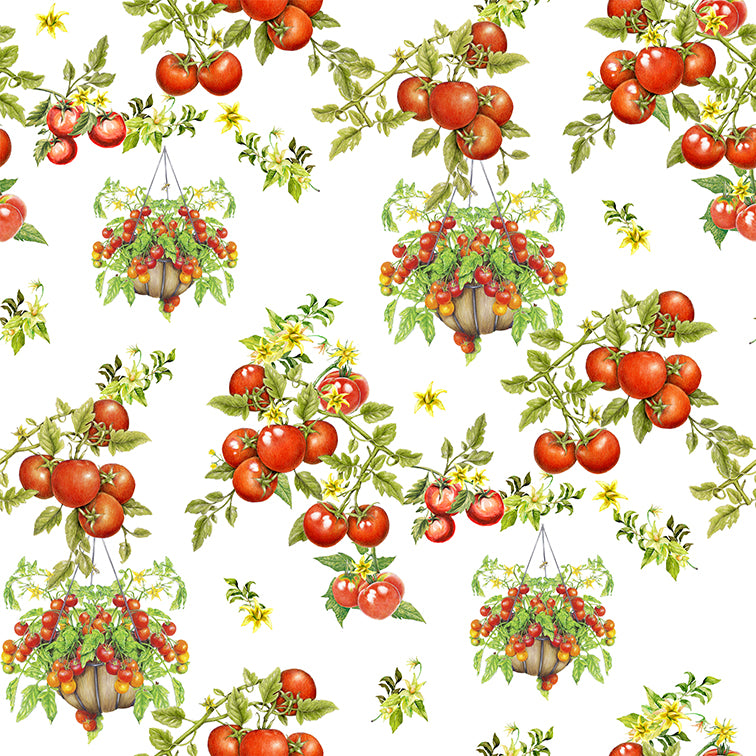 ODETTE 7 35X41