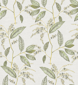 YELLOW PEPI 3 45x49