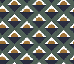PIA 5