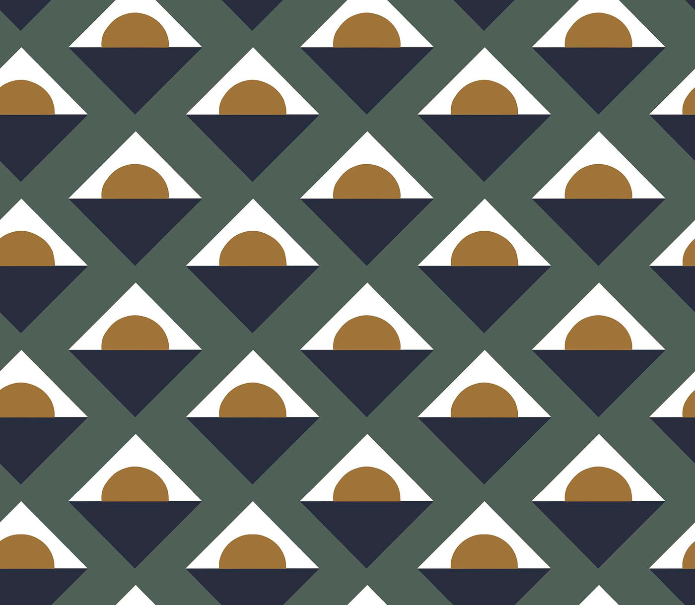 PIA 5