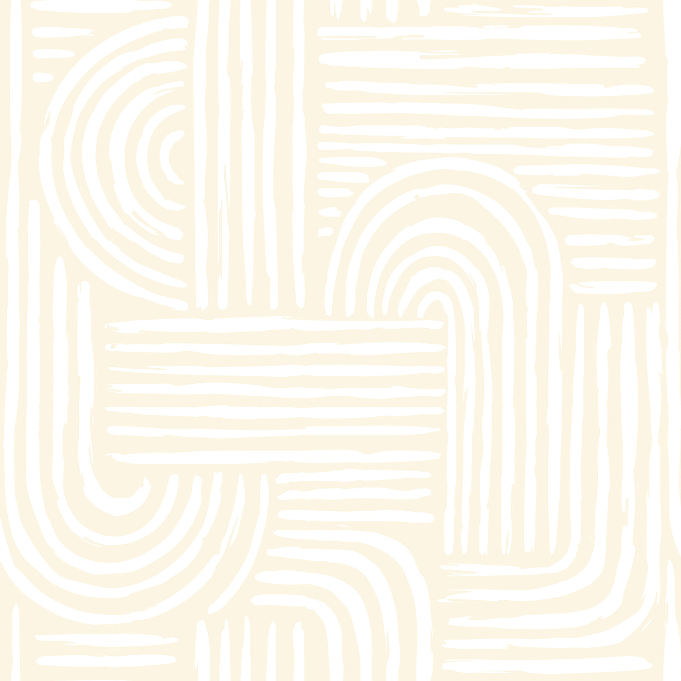 QUIANA 3 50X50