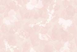 SILK 2