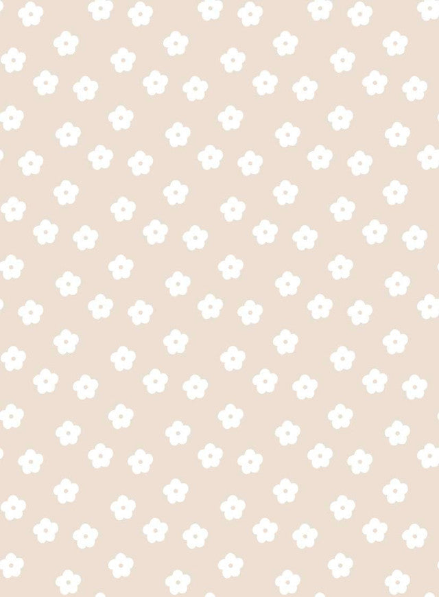 TULA 16 LIN XS