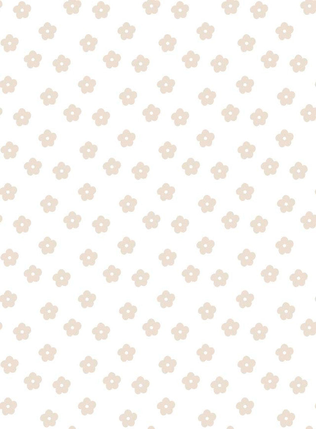 TULA 17 LIN XS