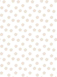 TULA 17 LIN XS