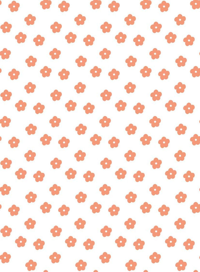 TULA 17 PÊCHE CORAIL XS