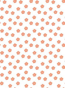 TULA 17 PÊCHE CORAIL XS