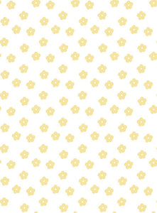TULA 17 SOLEIL XS