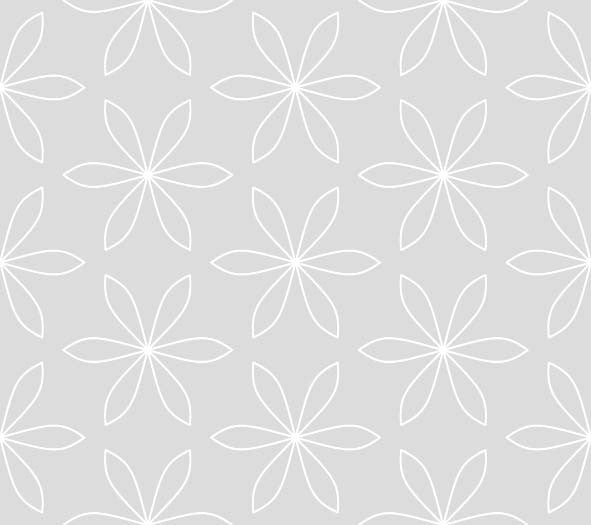 TULA 2 PEARL XS