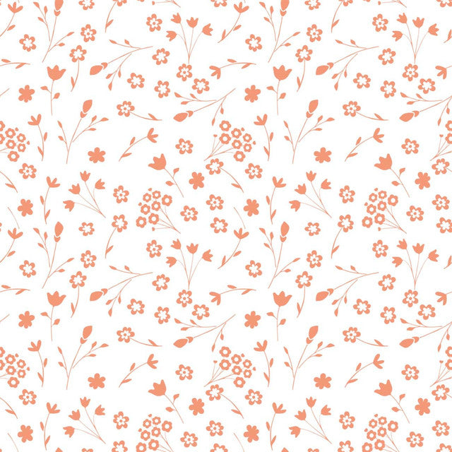 TULA 21 PÊCHE CORAIL XS