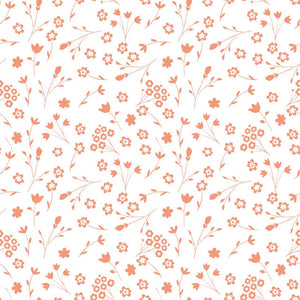 TULA 21 PÊCHE CORAIL XS