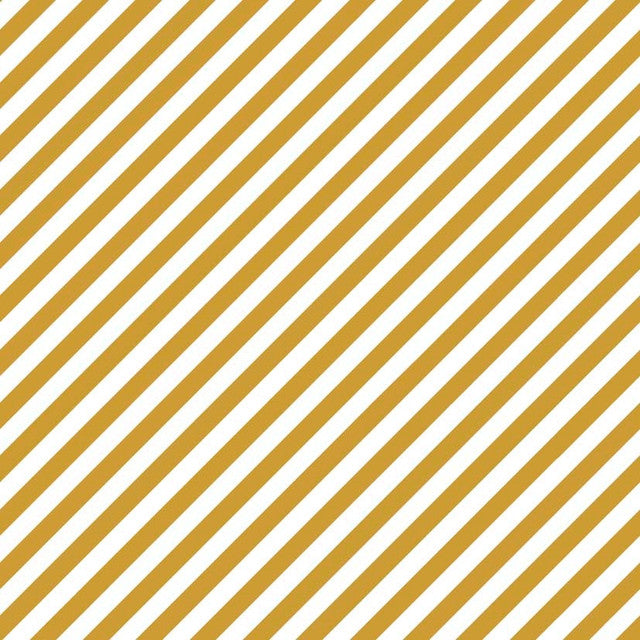 TULA 6 MUSTARD  XS