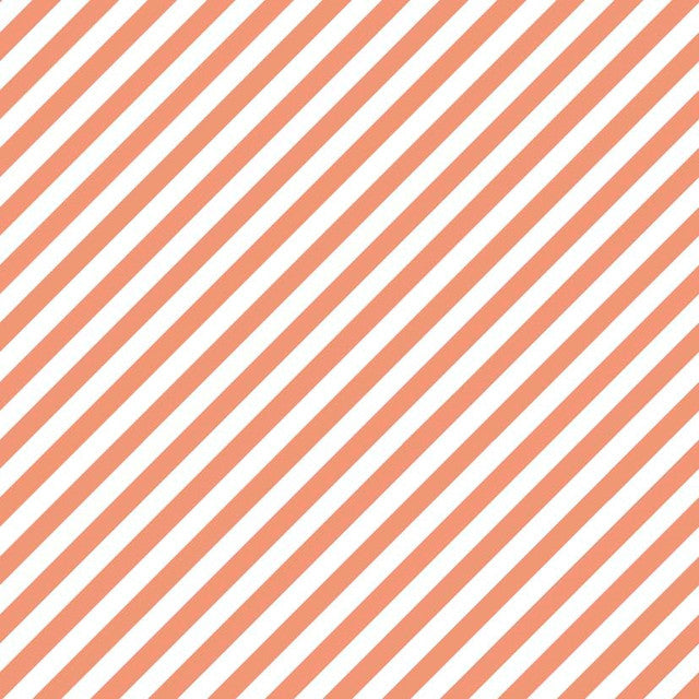 TULA 6 PÊCHE CORAIL XS