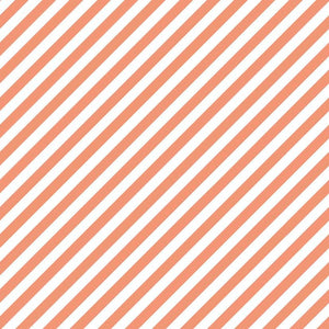 TULA 6 PÊCHE CORAIL XS