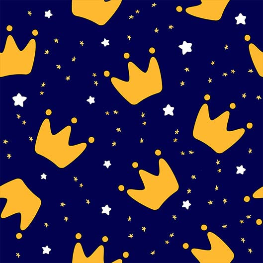 LE PETIT PRINCE 3
