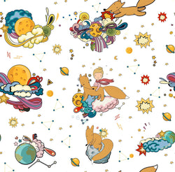 LE PETIT PRINCE 5