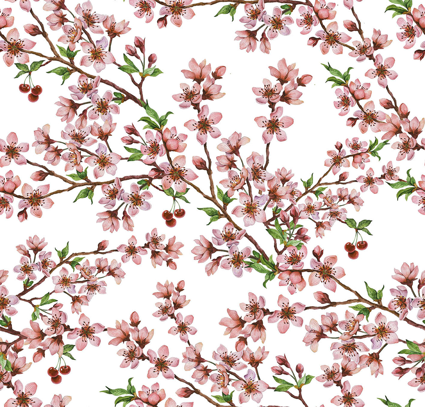 WANDA 124 3 50X48